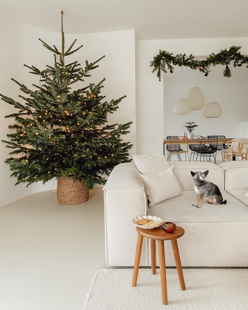 weihnachtszeit #weihnachtsdeko #weihnachtsbaum #chr