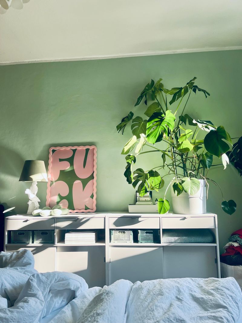 monstera  Bilder & Ideen  COUCH