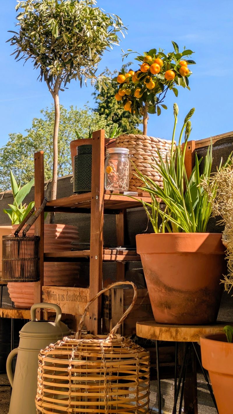 Balkon-Deko: So gestaltest du deine grne Oase!