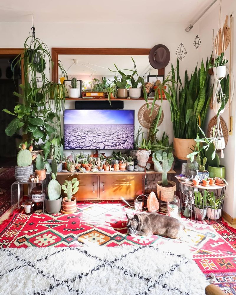 Ein guter Tag #wohnzimmer #Pflanzen #boho #hippie #t