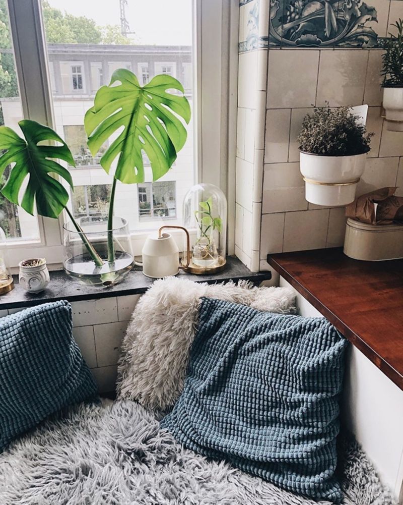Kuschelecke #kche #cozy #kuscheln #monstera #pflanz...