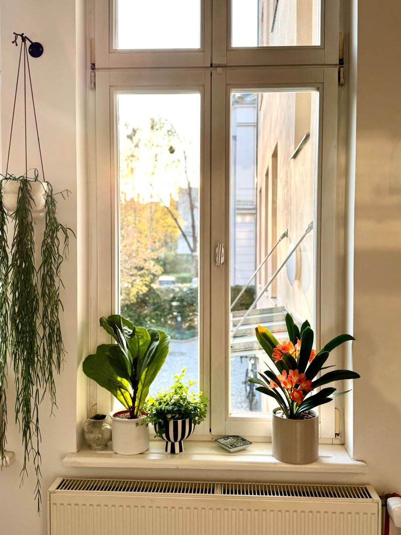 Fensterbank stilvoll dekorieren