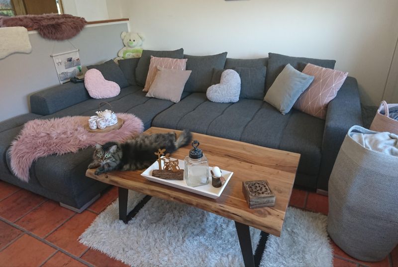 wohnzimmer #weiß #grau #rosa #altrosa #katze #couch