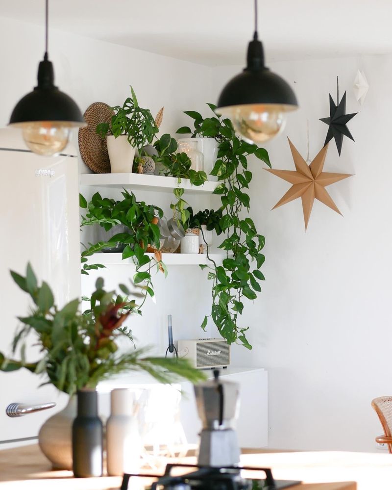 weihnachtsdeko #zimmerpflanzen #esszimmer #offenek...