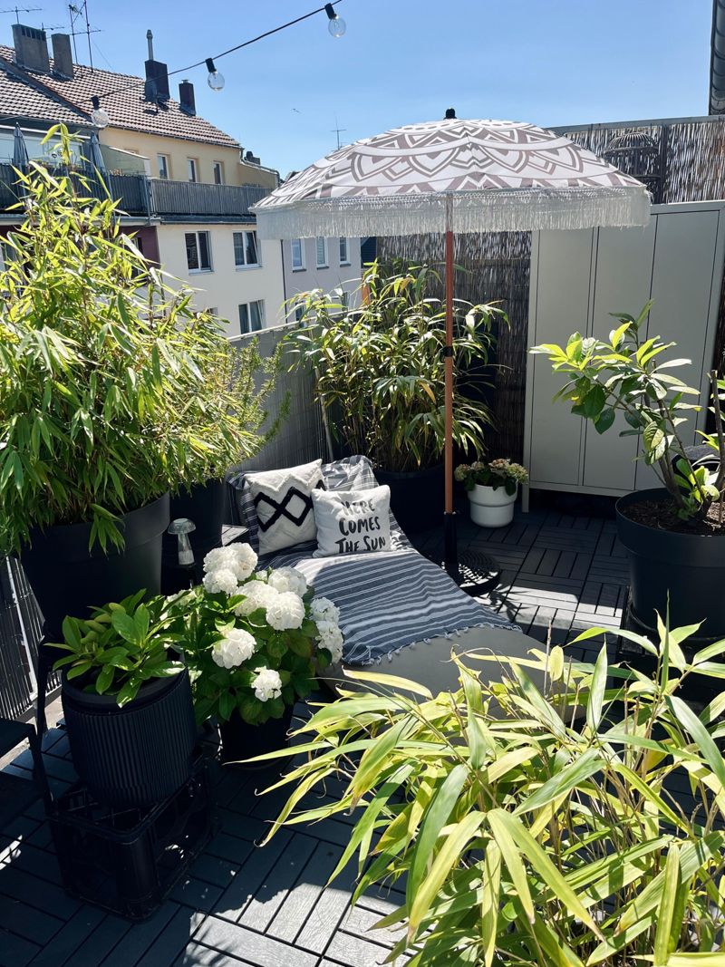 bambus  Bilder & Ideen  COUCH
