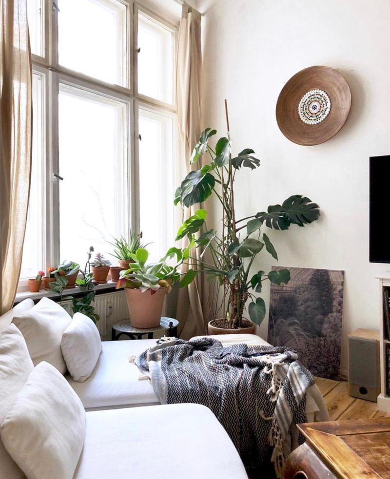 altbau #monstera #berlin #dielen #wohnzimmer #sofa
