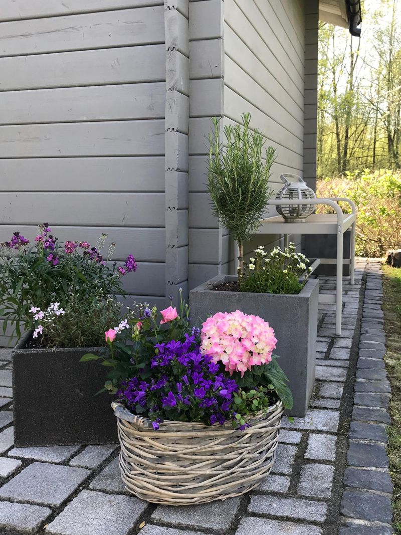 Endlich wieder Zeit im Garten verbringen. #garten #
