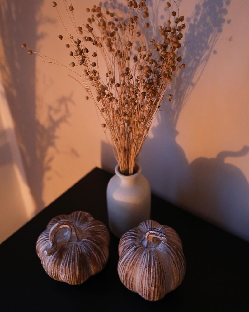 Herbstdeko :) #herbst #deko #inspo #cozy