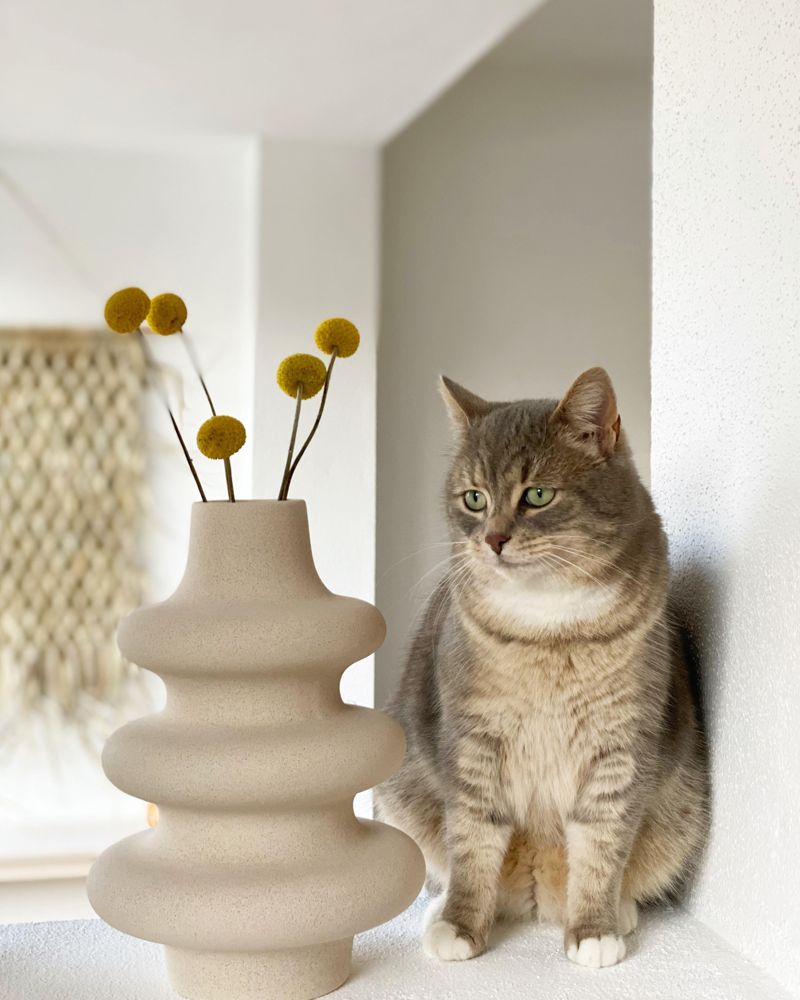 laterne weihnachten groß Sternenlicht 30 cm Daune