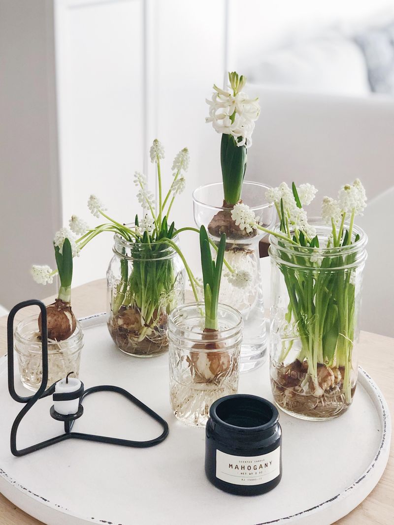 frühstücksbrettchen glas Wallario 6er Set aus Glas, Glasunterlage, Glasbrettchen Holzstamm mit Asteinschluss, Größe 14 x 23 cm, Sicherheitsglas Küche, Haushalt & Wohnen Pflanzenliebling für kleines Geld: