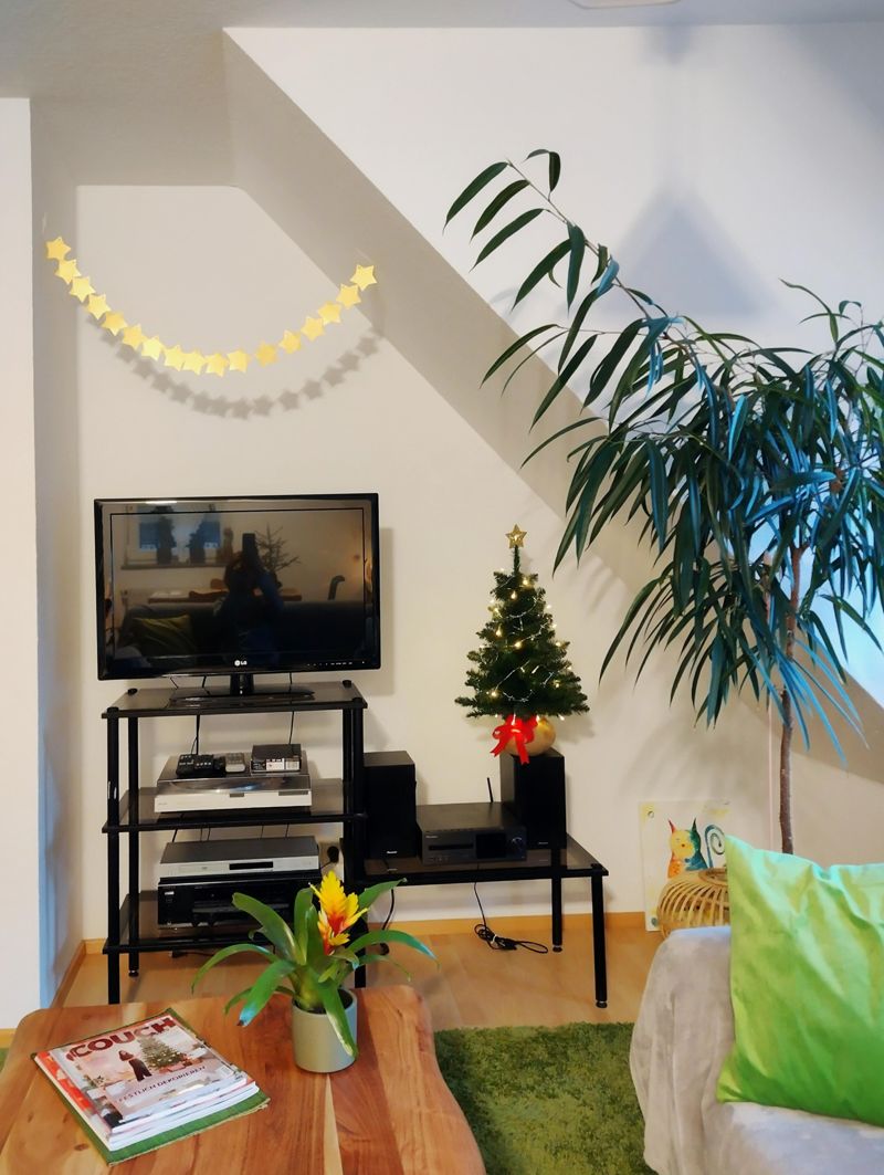 diygirlande #sternengirlande #weihnachtsbaum #tanne...