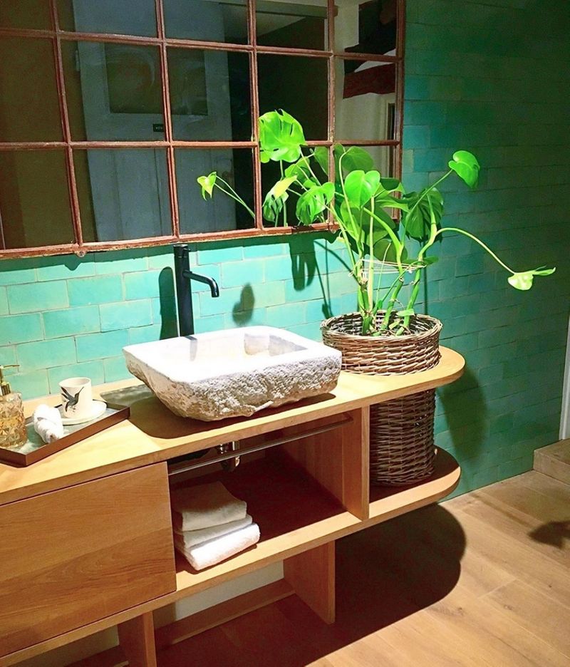 montis philodendron 4