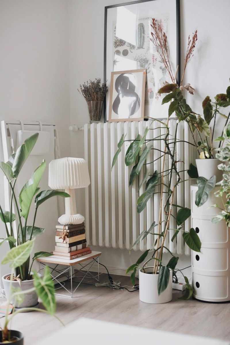 jotex • Bilder & Ideen • COUCH
