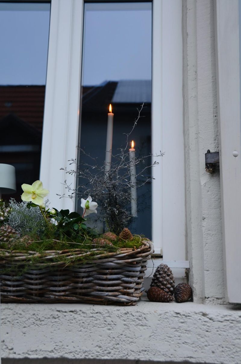 sichtschutz blumenkasten grau Pflanzkasten mit Sichtschutz Heerde Grau [en.casa] main image 1