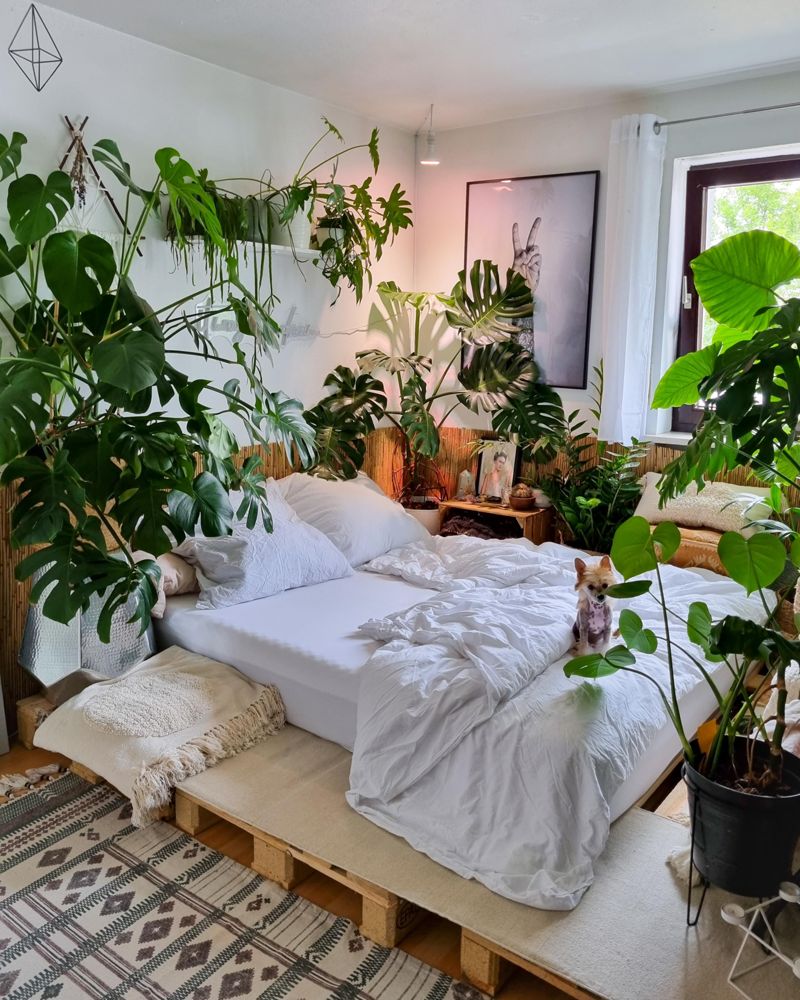 Sonntag  #Schlafzimmer #Pflanzen #monstera #Bet...