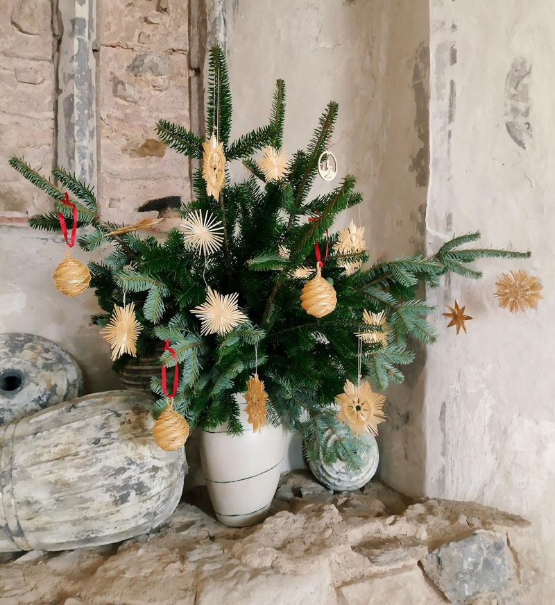 weihnachten #weihnachtlich #vase #äste #tannenäste