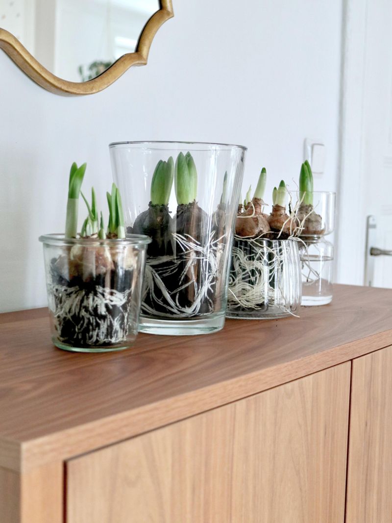 Das Highboard: Kommode mit viel Stauraum