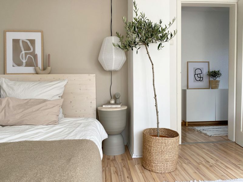Der Olivenbaum wird dieses Jahr im Schlafzimmer ber...