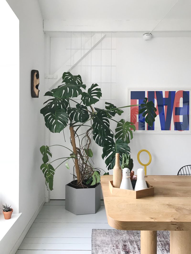 rankgitter  Bilder & Ideen  COUCH