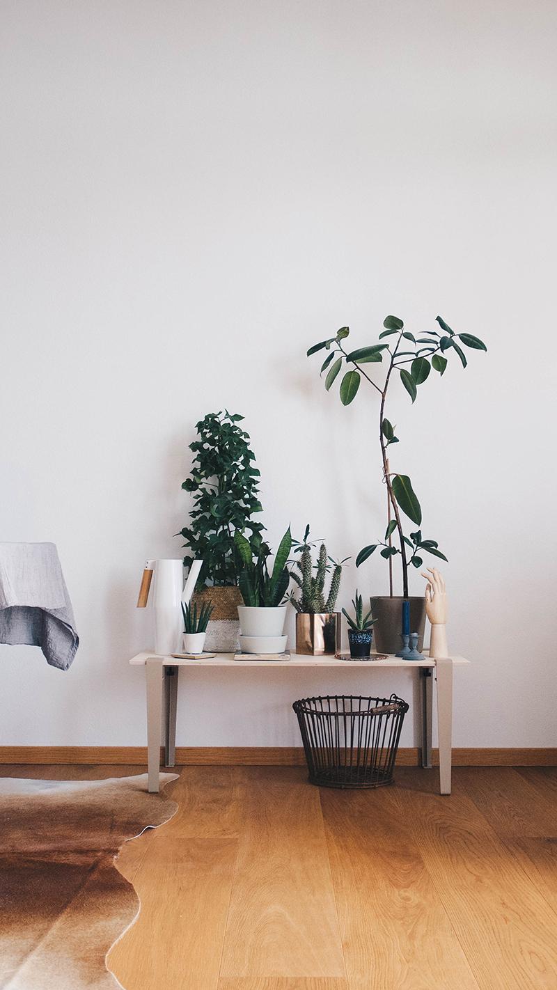 Pflanzenbank • Bilder & Ideen • COUCH