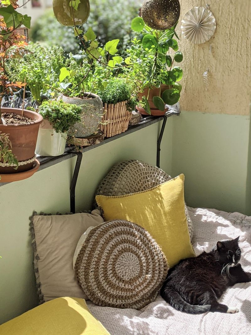 Unser Balkonbett :) 💚 #balkon #bett #catcontent #pl