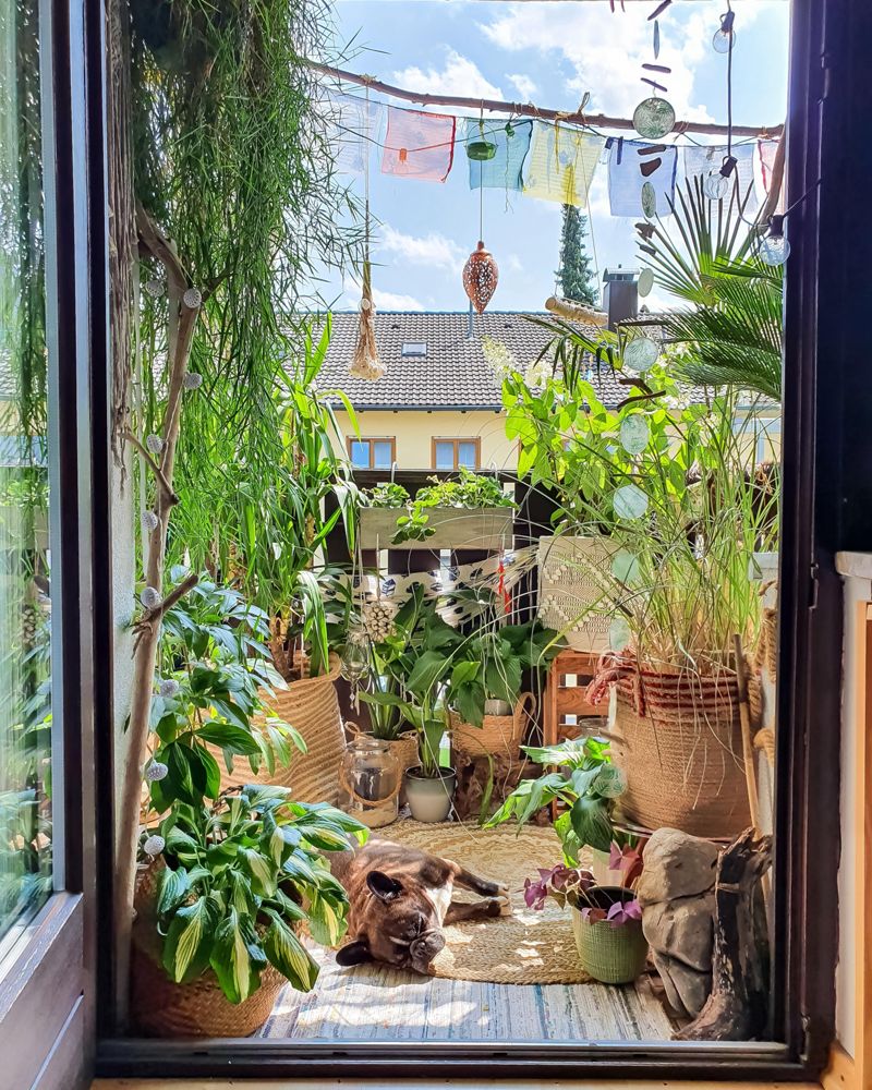 Wochenende  #balkon #pflanzen #boho #hippie #sdb...