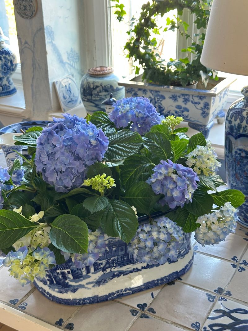 Blumendeko macht alles schöner: Tolle Tipps bei COUCH!