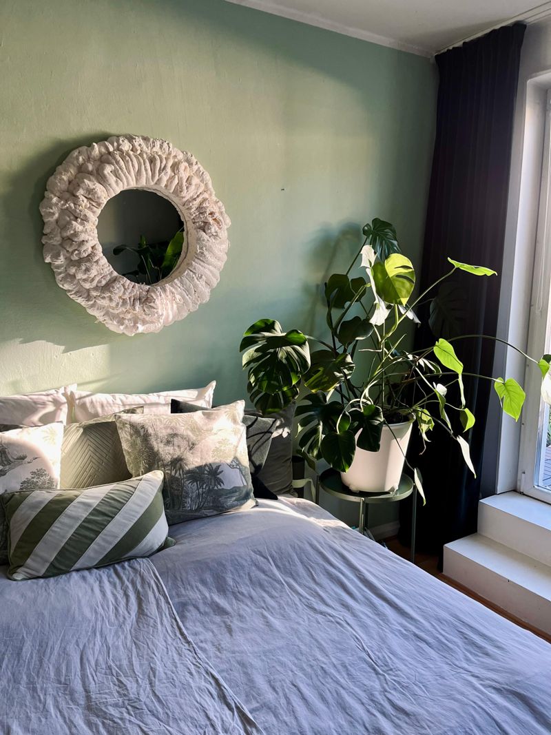 monstera  Bilder & Ideen  COUCH
