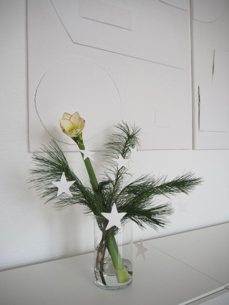 amaryllis #blume #weihnachtsdeko #weihnachtlich #va